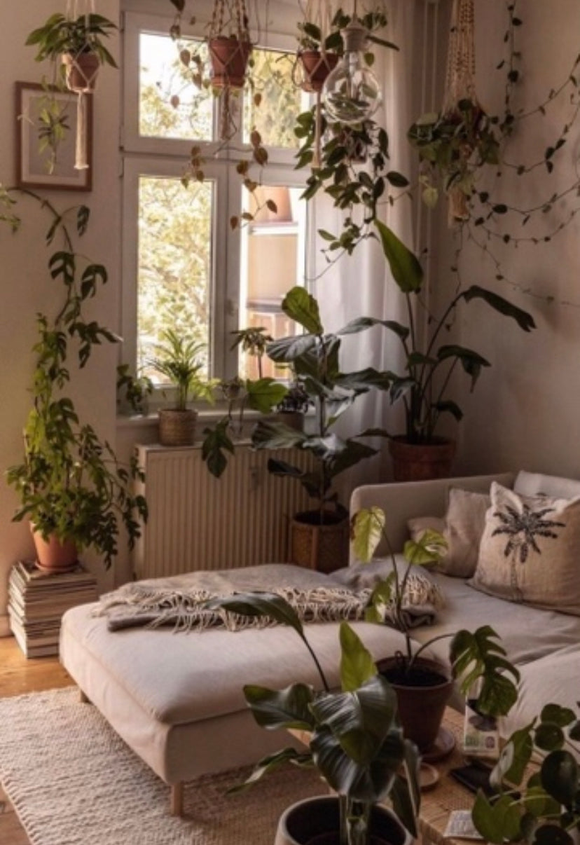 Jungle Dreams Black Leaf Hoop